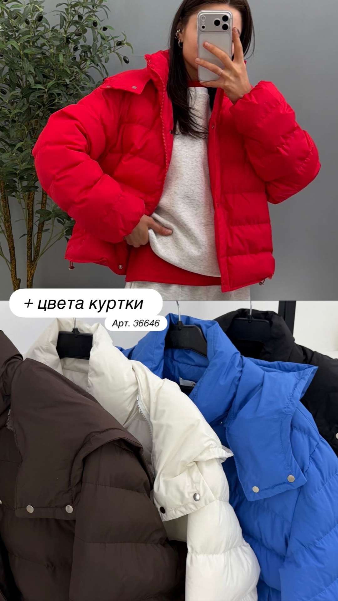 Куртка korea 2694 короткая